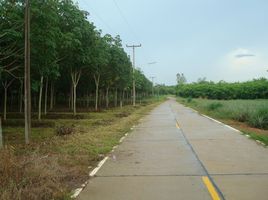  Land for sale in Kaset Suwan, Bo Thong, Kaset Suwan