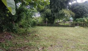 N/A Land for sale in Wiang, Chiang Mai 