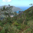  Land for sale in the Dominican Republic, Santa Barbara De Samana, Samana, Dominican Republic