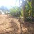  Land for sale in Mueang Phangnga Phangnga, Tham Nam Phut, Mueang Phangnga