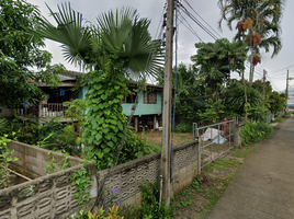  Grundstück zu verkaufen in Mueang Chiang Rai, Chiang Rai, Nang Lae