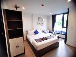 1 Schlafzimmer Wohnung zu vermieten im THE BASE Central Phuket, Wichit, Phuket Town, Phuket