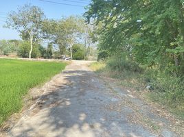  Grundstück zu verkaufen in Sena, Phra Nakhon Si Ayutthaya, Sam Ko