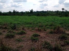  Grundstück zu verkaufen in Utcubamba, Amazonas, Utcubamba, Amazonas, Peru