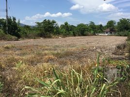  Land for sale in Chiang Mai, Pa Phai, San Sai, Chiang Mai