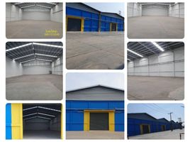  Warehouse for rent in Pathum Thani, Khlong Nueng, Khlong Luang, Pathum Thani