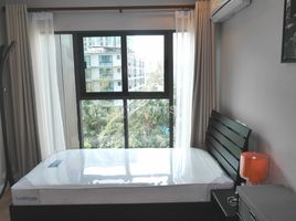 2 Bedroom Apartment for rent at D25 Thonglor, Khlong Tan Nuea