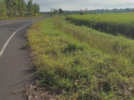  Grundstück zu verkaufen in Maha Chana Chai, Yasothon, Fa Yat