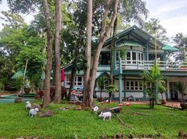 4 Schlafzimmer Haus zu vermieten in Ban Pong, Hang Dong, Ban Pong