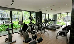 Photo 3 of the Communal Gym at The Deck Patong