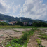  Grundstück zu verkaufen in Kathu, Phuket, Patong, Kathu