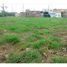  Land for sale at Jardim das Rosas, Pesquisar