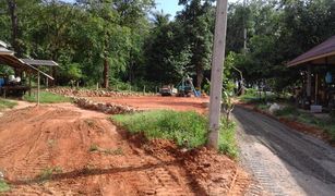 N/A Grundstück zu verkaufen in Ko Kaeo, Phuket 