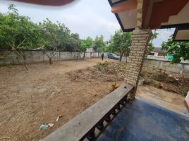 1 Bedroom House for sale in Lamphun, Muang Noi, Pa Sang, Lamphun