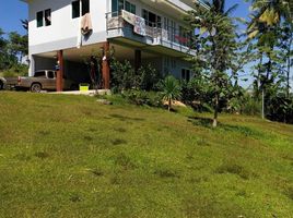  Land for sale in Phuket, Wichit, Phuket Town, Phuket