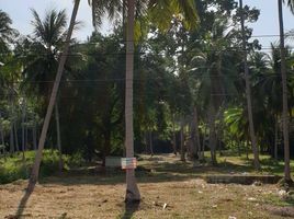  Земельный участок for sale in Koh Samui Snake Farm, Талинг Нгам, Талинг Нгам