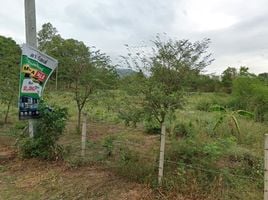  Land for sale in Hua Hin Airport, Hua Hin City, Hua Hin City