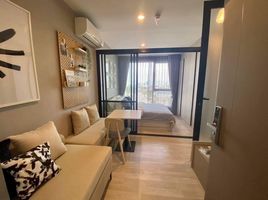 1 Schlafzimmer Wohnung zu vermieten im Ideo Mobi Sukhumvit East Point, Bang Na