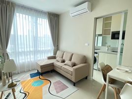 1 Bedroom Condo for rent at The Sky Sukhumvit, Bang Na