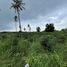  Land for sale in Big Bee Farm (Pattaya), Nong Pla Lai, Nong Pla Lai