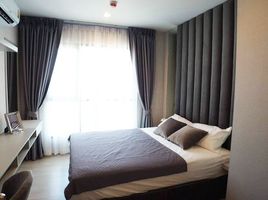 1 Schlafzimmer Appartement zu vermieten im Life Sukhumvit 48, Phra Khanong