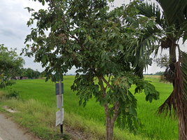 Land for sale in Pathum Thani, Lam Luk Ka, Lam Luk Ka, Pathum Thani