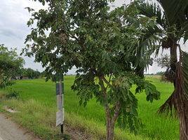  Land for sale in Lam Luk Ka, Lam Luk Ka, Lam Luk Ka