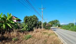 N/A Grundstück zu verkaufen in Mae Tam, Chiang Rai 