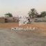  Land for sale at Al Nakheel, Al Jaz, Greens