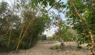 N/A Land for sale in Mueang Chi, Lamphun 