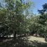  Land for sale in Turrubares San Jose, Turrubares, San Jose