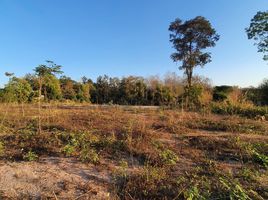  Land for sale in Khi Lek, Mae Taeng, Khi Lek