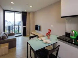 1 Bedroom Condo for sale at Palm Springs Nimman Areca, Suthep, Mueang Chiang Mai