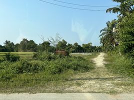  Grundstück zu verkaufen in San Kamphaeng, Chiang Mai, San Kamphaeng, San Kamphaeng