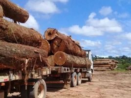  Grundstück zu verkaufen in Alta Floresta Doeste, Rondonia, Alta Floresta Doeste