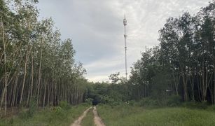 N/A Grundstück zu verkaufen in Maenam Khu, Rayong 