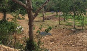 N/A Land for sale in Ko Lanta Yai, Krabi 