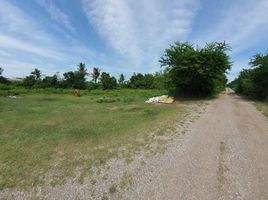 ขายที่ดิน ใน บ้านโป่ง ราชบุรี, เขาขลุง