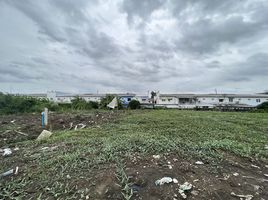  Land for sale in Prawet, Bangkok, Dokmai, Prawet