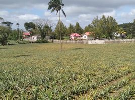  Land for sale in Tagaytay City, Cavite, Tagaytay City