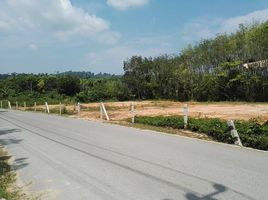  Land for sale in Sakhu, Thalang, Sakhu