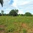  Land for sale in the Dominican Republic, Santo Domingo Norte, Santo Domingo, Dominican Republic