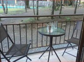 1 Bedroom Apartment for sale at Camino Al Volcan, Pucon, Cautin, Araucania, Chile