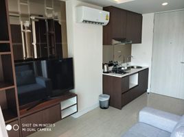 1 Schlafzimmer Wohnung zu verkaufen im Aristo 1, Choeng Thale, Thalang, Phuket