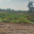  Land for sale in Nakhon Pathom, Bua Pak Tha, Bang Len, Nakhon Pathom