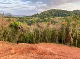  Grundstück zu verkaufen in Thalang, Phuket, Choeng Thale