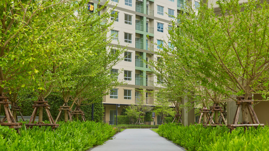 รูปถ่าย 1 of the Communal Garden Area at ลุมพินี วิลล์ พระ นั่ง เกล้า - ริเวอร์วิว