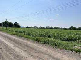 Land for sale in Lop Buri, Dong Din Daeng, Nong Muang, Lop Buri