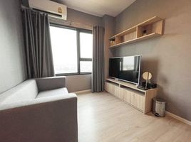 1 Schlafzimmer Wohnung zu verkaufen im Escent Condo, Fa Ham, Mueang Chiang Mai