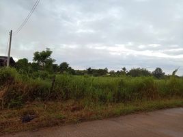  Land for sale in Ko Kha, Lampang, Ko Kha